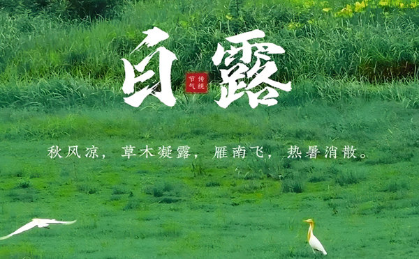白露清新，环城智慧环保与您共护碧水蓝天